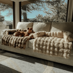 SnugPaw™ - Koselig hundeseng