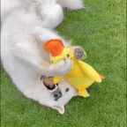 HappyDuck™ – Anti-stress kosedyr