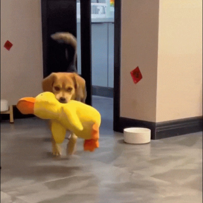 HappyDuck™ – Anti-stress kosedyr