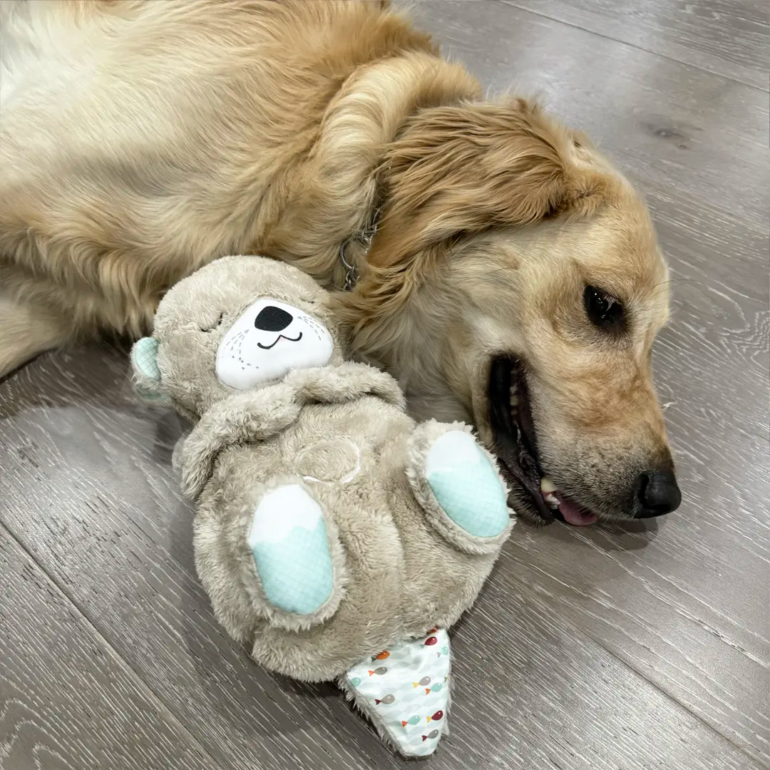 CalmPUP™ - Beroligende kosedyr mot stress - NordKlover